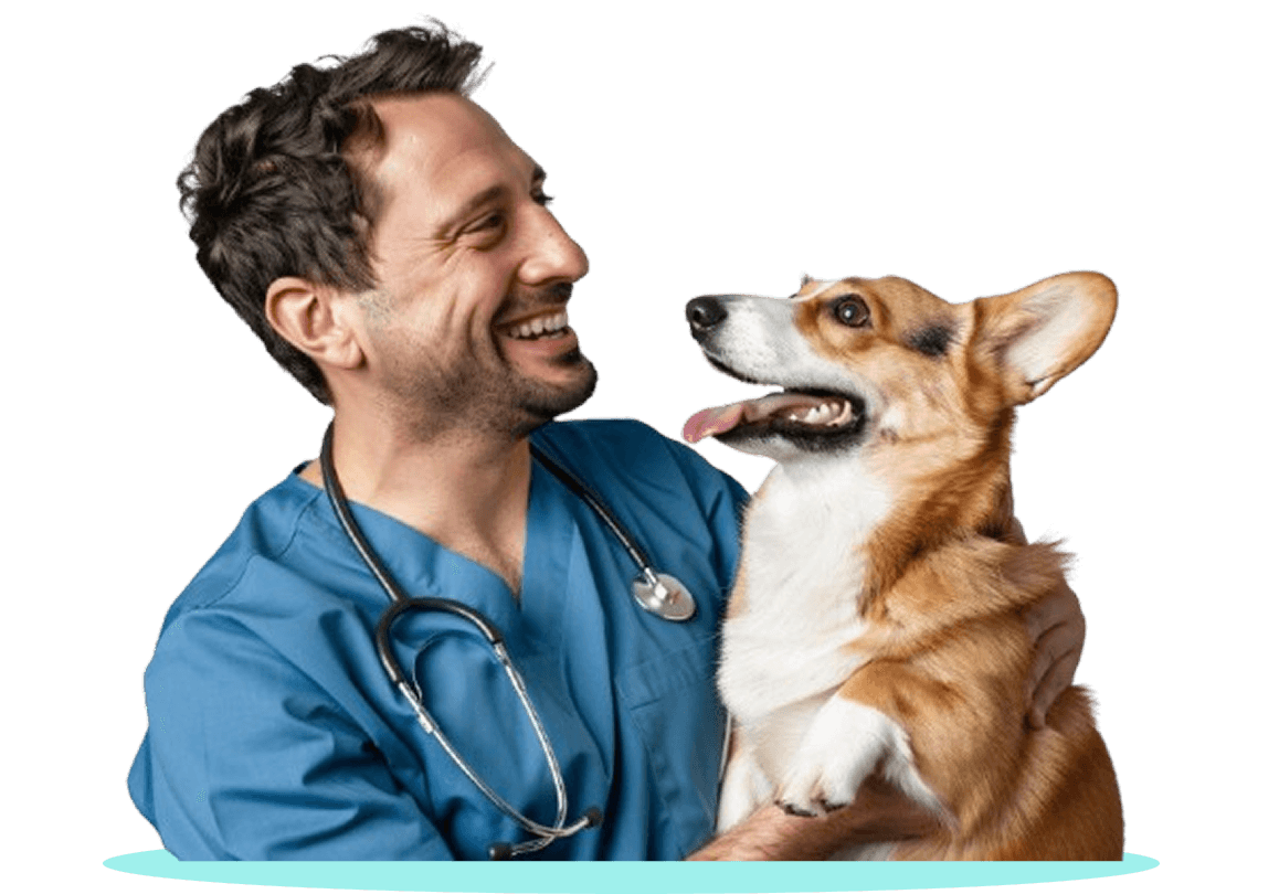 Veterinary professional hugging a happy cream-colored dog